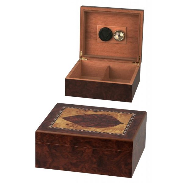 Humidor con diseño de hoja